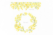 Watercolor Mimosa Branches Flowers, a Decorative Illustration by GraphicsDish (Thumbnail 4 of 5)