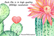 Watercolor Cactus Clipart, an Illustration by PassionPNGcreation (Thumbnail 3 of 3)