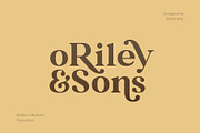 Rolfter - Classic Serif, a Serif Font by AlienValley (Thumbnail 3 of 9)