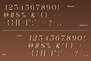Elian Covaire Modern Elegant Font, a Serif Font by Rasio Studio (Thumbnail 3 of 10)