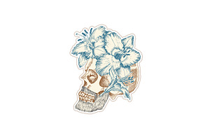 Vintage Sticker Human Skull With