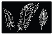 Silhouettes of different feathers, an Illustration by risovanya (Thumbnail 2 of 3)
