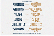 Northern Vintage Monoline Script, a Serif Font by Angin Studio (Thumbnail 3 of 17)