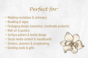 13 Magnolia PNG Clipart – Gouache, a Decorative Illustration by Ink by Stefi (Thumbnail 4 of 4)