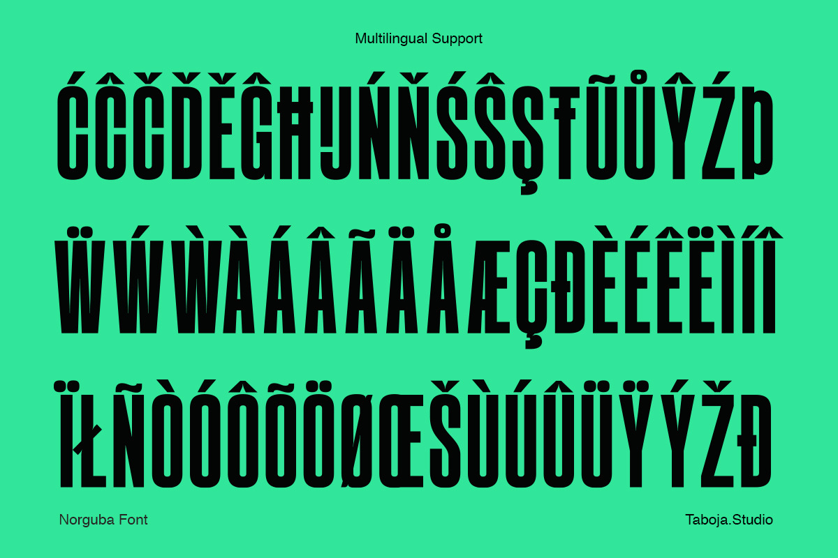 TBJ Norguba Sans Serif Display, a Sans Serif Font by Taboja Studio (Photo 11 of 11)