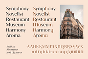 Paseo, a Sans Serif Font by Larin Type Co. (Thumbnail 6 of 15)