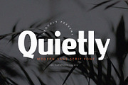 Quietly - Sans Serif Font, a Sans Serif Font by Alpaprana (Thumbnail 1 of 10)