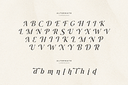 Journey – Aesthetic Serif Font, a Serif Font by Hamz Studio (Thumbnail 8 of 20)