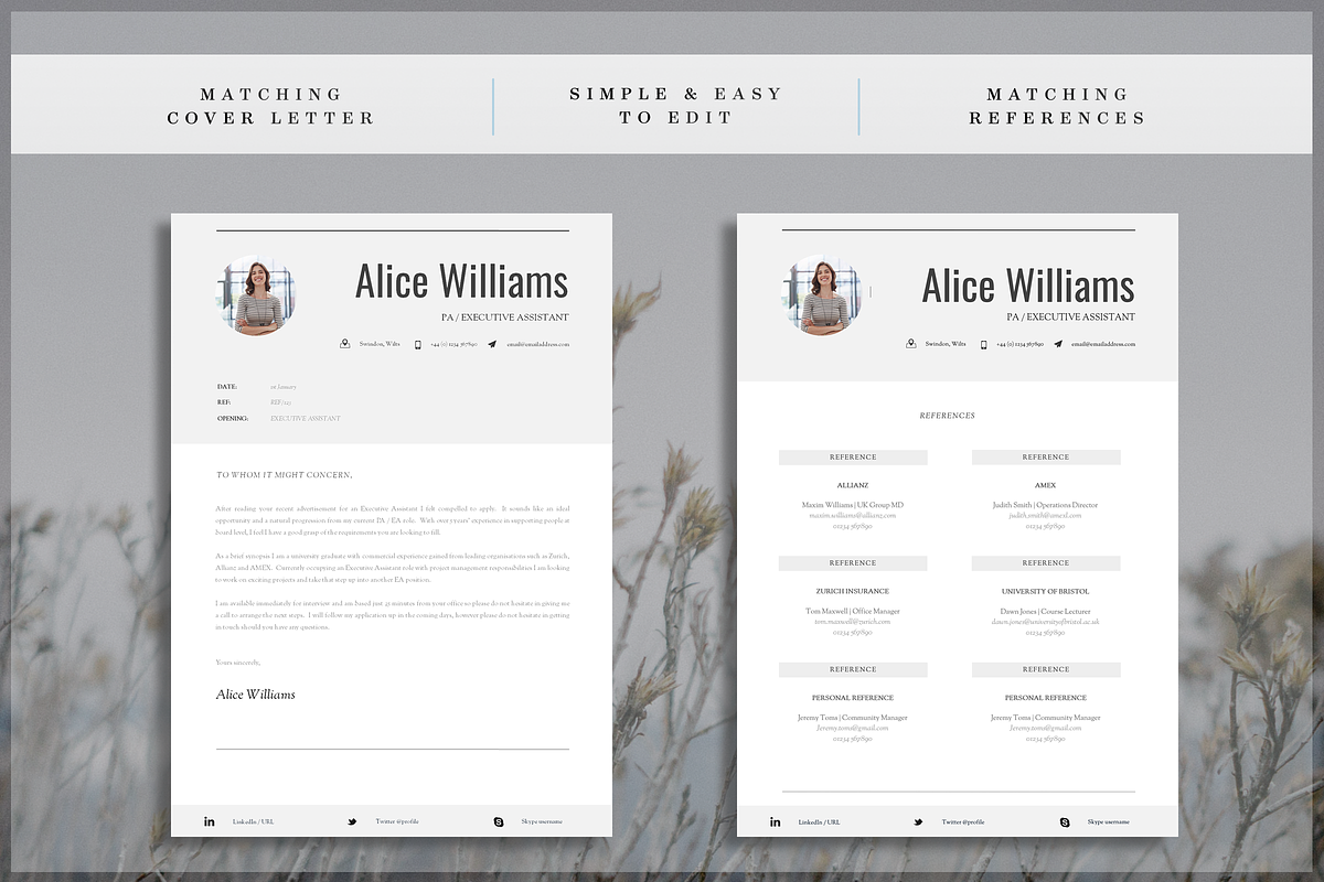 Professional Resume Template, a Resume Template by introDuice - CV / Resumes (Photo 5 of 7)