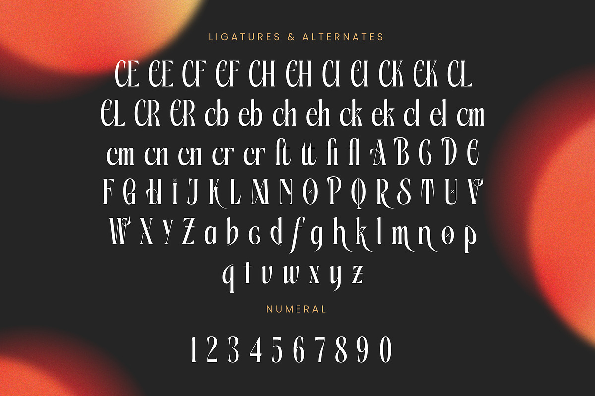 Aligner Tall Modern Serif Display, a Serif Font by timelesstype.co (Photo 19 of 20)