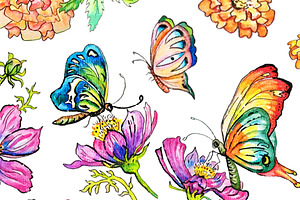 Hand Painted Watercolor Butterflies