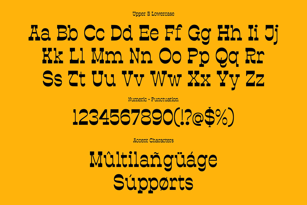 Estripe - A Reversed Contrast Font, a Slab Serif Font by Glyphminds Studios (Photo 4 of 10)