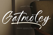 Gatmoley Modern Handwritten Font, a Script Font by Letterena Studios Script (Thumbnail 1 of 15)