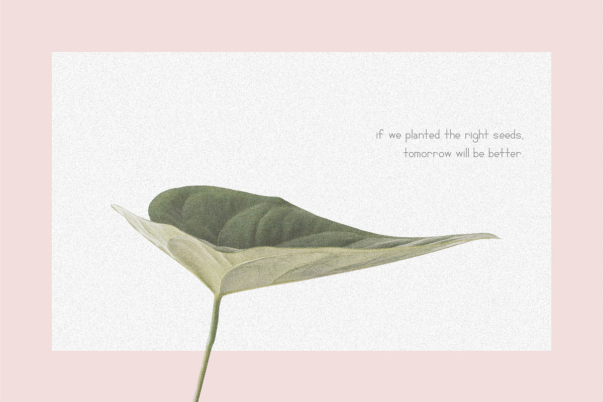 Santario | a serif font, a Serif Font by white supply (Photo 3 of 3)