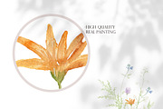 Watercolor AIRY WILDFLOWER Clipart, a Decorative Illustration by Beigetime (Thumbnail 2 of 16)
