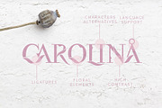 Flora | Modern Display Font, a Serif Font by Kandella's Art (Thumbnail 4 of 18)