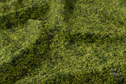Seamless Ground Textures-Green Grass, a Texture Graphic by Arthitecture Home (Thumbnail 5 of 11)