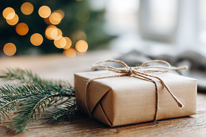Beautifully wrapped Christmas gift, a Holiday Photo by MistyDay