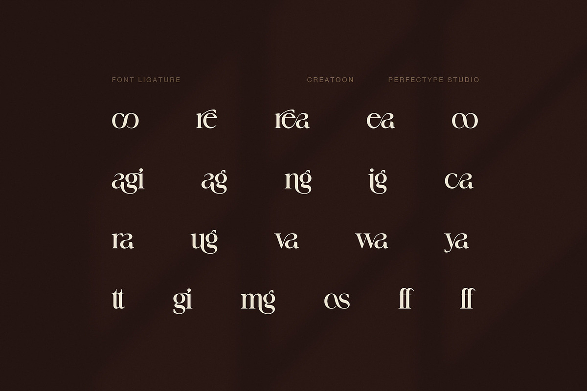 Creatoon Modern Serif Font, a Serif Font by Perfectype (Photo 8 of 8)