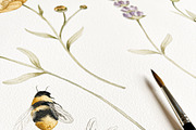 Watercolor Botanical Wildflowers Set, a Decorative Illustration by Carol Lozove (Thumbnail 2 of 36)