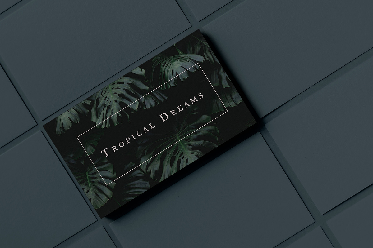 Tropical / Minimal Business Card, a Business Card Template by MDSN Design (Photo 2 of 3)