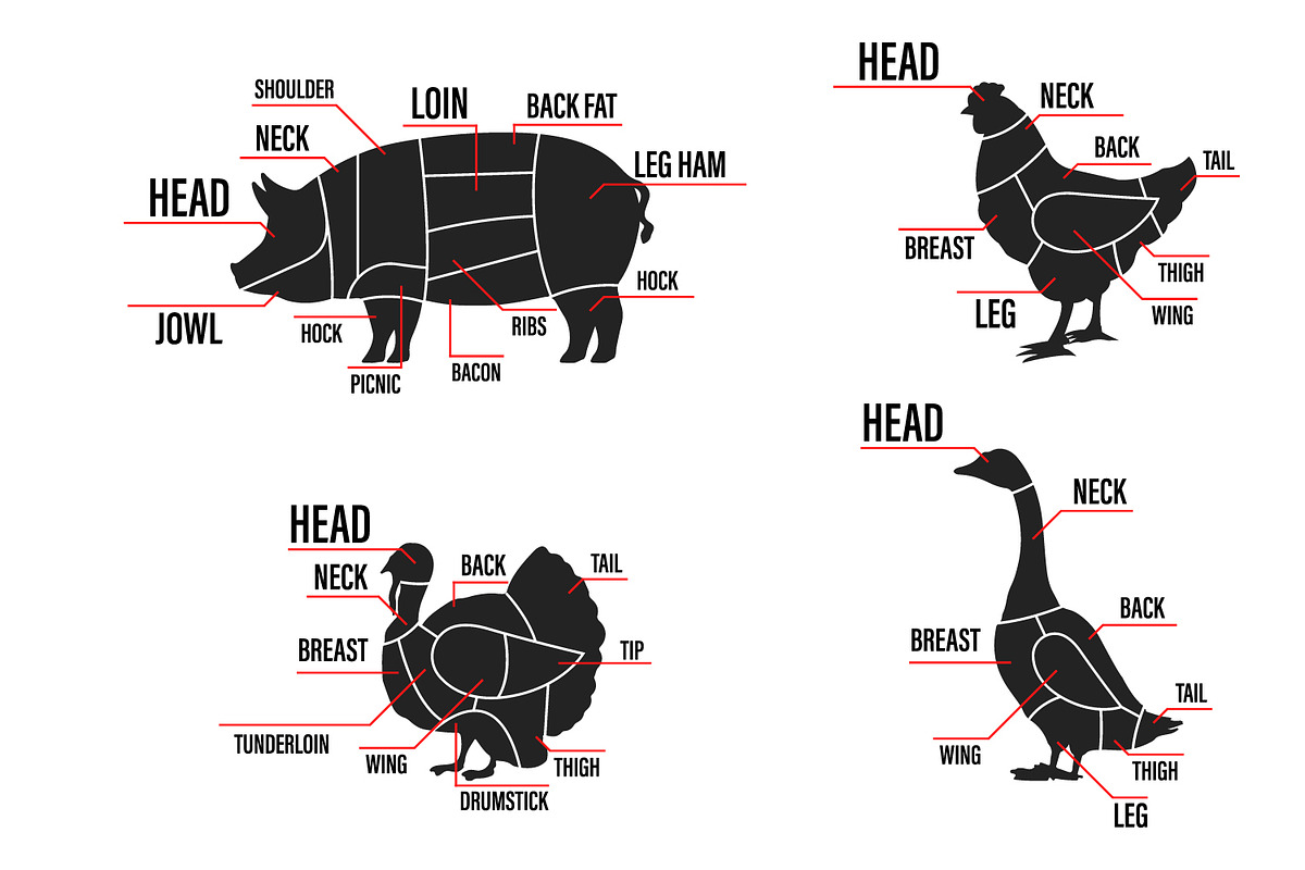 Meat cuts set. Diagrams Scheme, an Icon by Drum-magic