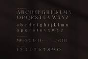 Sandis Elegant Serif Font, a Serif Font by Perfectype (Thumbnail 7 of 8)