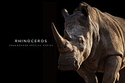 Endangered Rhinoceros Illustration, an Animal Illustration by Digital Art Downloads (Thumbnail 1 of 3)