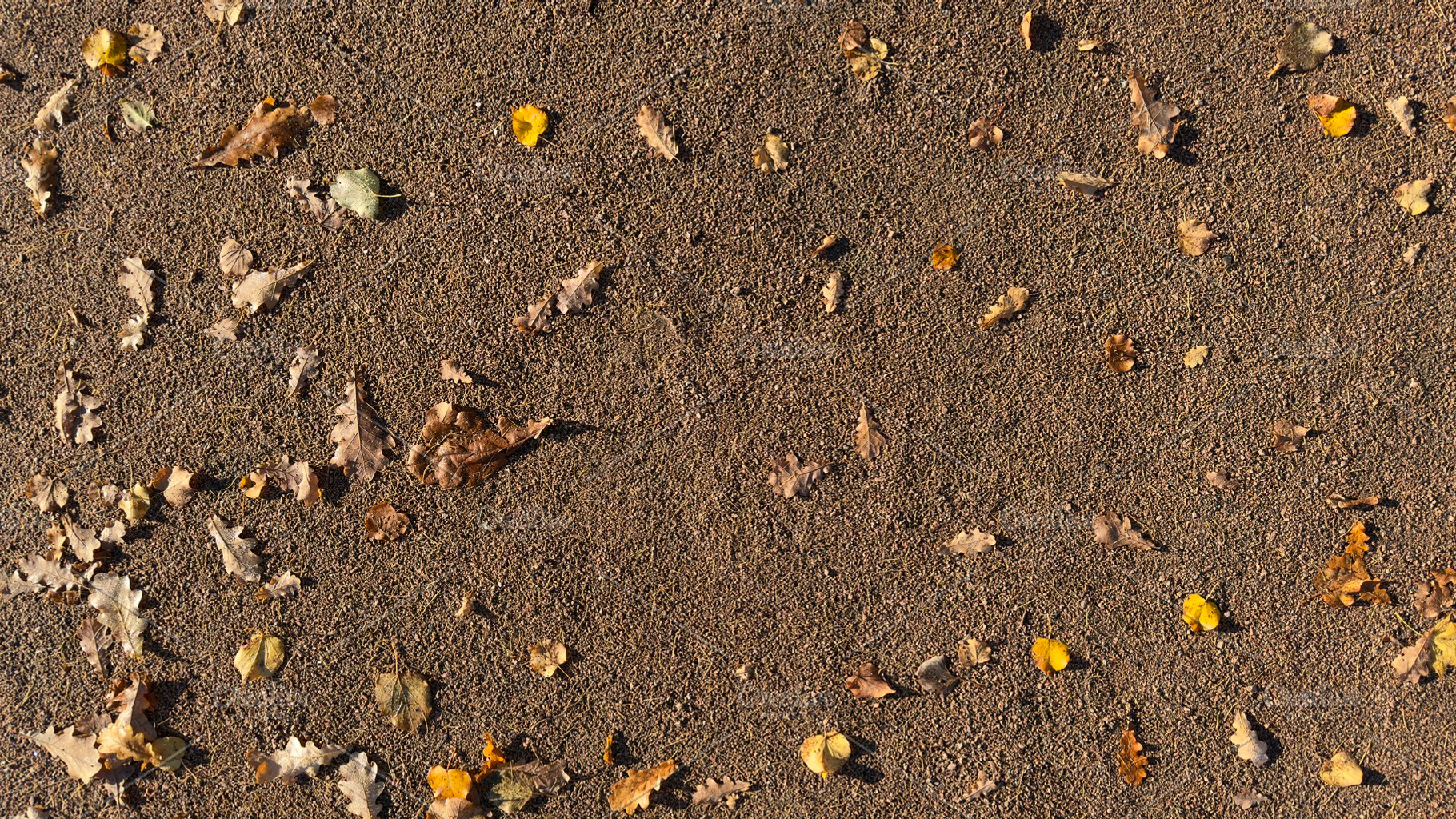 A textured sandy surface scattered with autumn leaves in various colors, a Nature Photo by Textures & Backgrounds