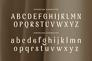 Ragline - Luxury Condensed Font, a Sans Serif Font by Sensatype (Thumbnail 10 of 13)