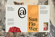 CS Siera – Art Nouveau Font, a Serif Font by Craft Supply Co. (Thumbnail 6 of 8)
