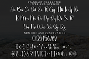 Tyhpoon Family, a Handwritten Font by FreshTypeINK (Thumbnail 5 of 8)