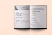 The Commercial Proposal for Clients, a Presentation Template by Smotrow Related (Thumbnail 4 of 5)