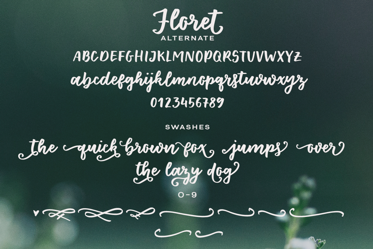 Floret brush font family preview 5