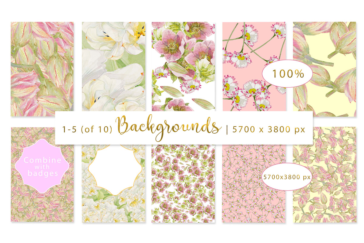 PINK TOOLBOX-70+DesignElements, an Illustration by watercolorwild.graphics (Photo 9 of 13)
