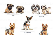 Toy Group Dogs Illustrations Clipart, an Animal Illustration by BrushstrokeArtGB (Thumbnail 5 of 9)
