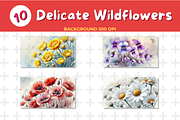 Watercolor Delicate Wildflowers Back, a Background Graphic by John_Walker (Thumbnail 2 of 4)