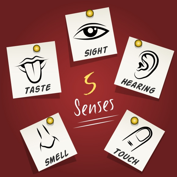 Set of senses icons on sticky notes, an Icon by Microvector