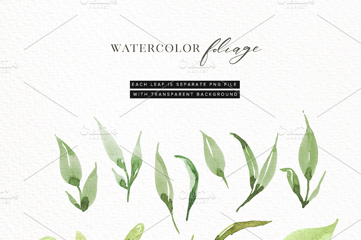 Delicate Greenery Watercolor+Pencil, a Texture Illustration by Inky Jar Design Studio (Photo 8 of 15)