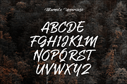 Delhus Fyione, a Script Font by Joko Setiono (Thumbnail 8 of 12)