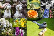 Garden Photo Set 31 pics preview 2
