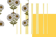 wild daisy botanical stripe, a Pattern Graphic by NayaChu (Thumbnail 6 of 10)