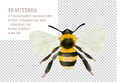 Watercolor Floral Bee Clipart, an Illustration by MockupWizard (Thumbnail 4 of 5)