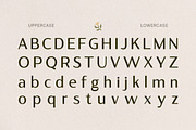Sqindra - Luxury & Elegant Sans, a Sans Serif Font by Typia Nesia (Thumbnail 2 of 15)