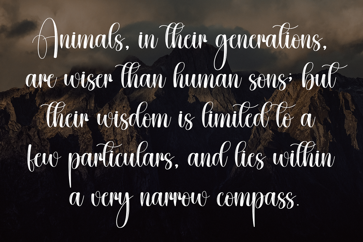 Childles | Script Font, a Handwritten Font by Scratchones (Photo 6 of 8)