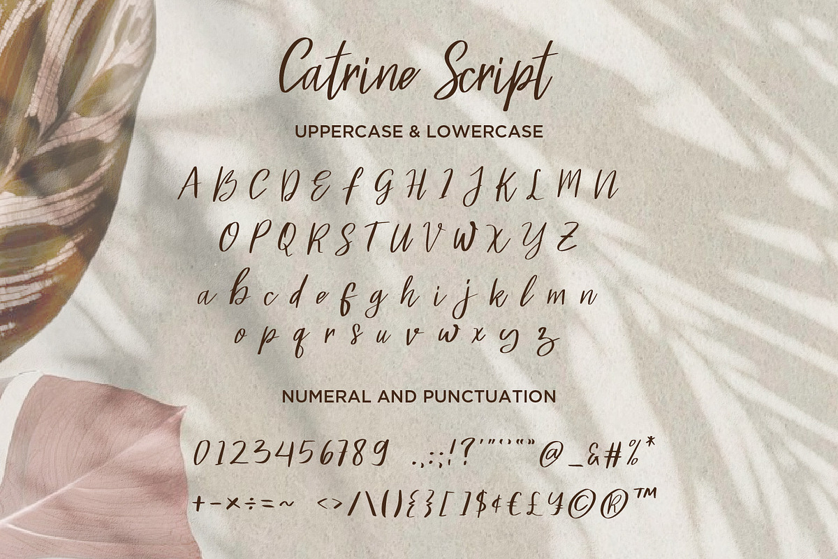 Catrine Script - Handwritten Script, a Script Font by Nahar_std (Photo 12 of 12)