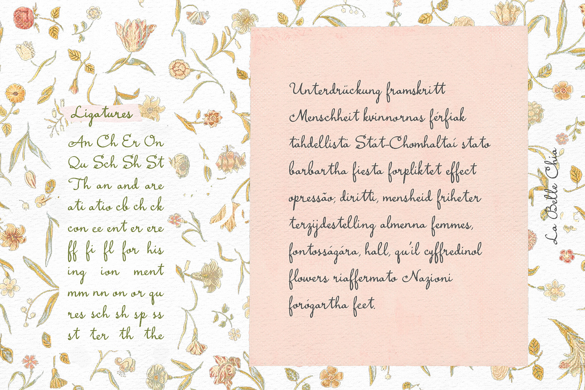 La Belle Chia Handwritten Script, a Handwritten Font by Perplexitics (Photo 8 of 10)