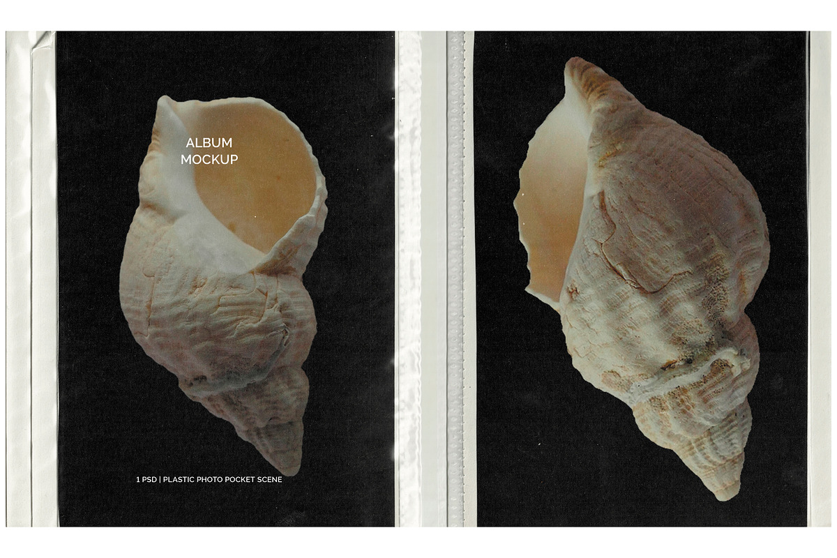 Album Plastic Pocket Mockup | PSD, a Books & Magazine Mockup by Studio Viita (Photo 1 of 5)