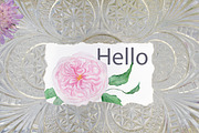 Watercolor Bundle Four Seasons., a Seasonal Illustration by NataliArkushArt (Thumbnail 44 of 65)