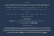 Fasten Dhecta Modern Brush Font, a Script Font by Letterena Studios Script (Thumbnail 19 of 20)